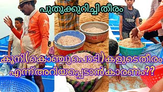 5 ലക്ഷം വരെ വിറ്റിട്ടുള്ള വന. എന്നോട് നിങ്ങളുടെ കടി വേണ്ട. കൂനിയുടെ വില കേട്ട് ഞെട്ടി.#kadalfish #