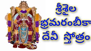 శ్రీశైల భ్రమరారంబీకా దేవీ స్తోత్రం||Srisaila bramarambika devi stotram @navamalikastotram