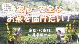 安心･安全な日本茶を届けたい！ 京都府和束町の「中井農園さん」