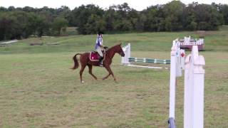 Nadir Stadium Jumping Queeny Park 10 2 2016