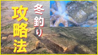 【タコ釣り・イイダコ釣り】釣れなくなった時期の釣り方とは