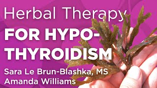 Herbal Therapy for Hypothyroidism and Hashimoto’s | WholisticMatters Podcast | Medicinal Herbs