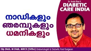 നാഡികളും ഞരമ്പുകളും ധമനികളും | Diabetic Care India| Malayalam Health Tips