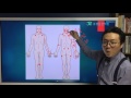 섬유근통증후군 fibromyalgia 와 턱관절과의 연관성