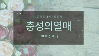 충성의열매(안특수목사),축복이흐르는교회(BF Church)새벽예배 설교 (새벽기도,가스펠티비,Gospel TV,가스펠TV,지티비,GTV)