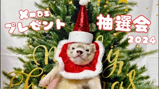 【ライブ配信】クリスマスプレゼント抽選会2024🎄.*