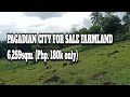 (Property#38)@jopax7576 / Pagadian City 6,259sqm.mini farmland For Sale