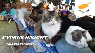 Cyprus Vlog, Visit to the Tala Cat Sanctuary. Christmas Eve