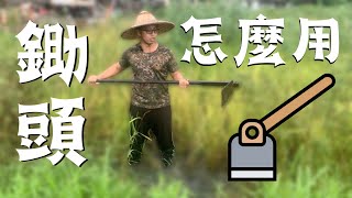 【種稻入門實作】鋤頭使用訣竅分享，省時又省力，農村新手必看！！！How to Use a Hoe?