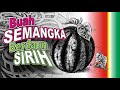 Buah SEMANGKA Berdaun SIRIH