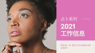 2021 工作方面的信息