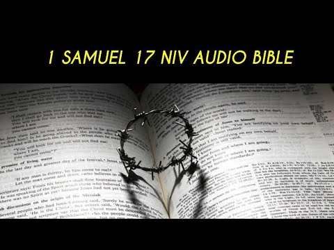 1 SAMUEL 17 NIV AUDIO BIBLE (with Text) - YouTube