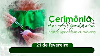 Cerimônia do Algodão | 21 de fevereiro