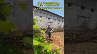 CẢ ĐỜI VÌ CON (Randy) #cadoivicon #casirandy