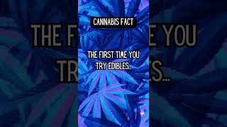 Die erste Erfahrung mit Edibles: Ein Zeitparadoxon! #cannabisfacts