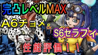 【ドラクエタクト】　完凸レベルMAX　『セラフィ＆チョメ』　徹底検証！！その実力とは！？