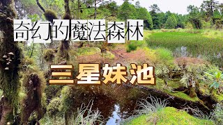 三星池步道實在太療癒～這絕對是太平山森林遊樂區的秘境，松蘿球的樹林美的太夢幻！ #宜蘭 #太平山 #三星池 #三星池妹池 #魔法森林 #絕對秘境