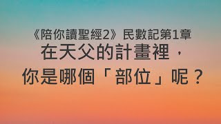 在天父的計畫裡，你是哪個「部位」呢？《民數記1》｜陪你讀聖經2