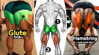 8 Best Exercises Glute and Hamstring workout