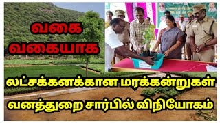 #வகை_வகையா_மரக்கன்றுகள்_வனத்துறை_சார்பில்_விநியோகம் #perambalur #பெரம்பலூர் #esanai #வனத்துறை