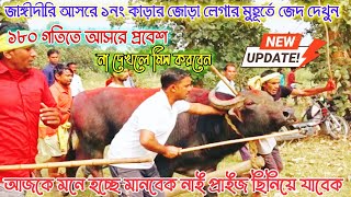 জাঙ্গিদিরী আসরে ১নং কাড়া লেগার মুহূর্তে জেদ দেখুন।। উওম মাহাতোর কেন্দাডি #bull #shortvideos #cow ##