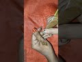 Simple mehndi design