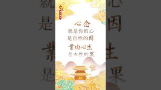 卢台长佛言佛语《业由心生》