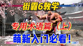 【街霸6】终极0基础入门必看：术语篇（上）