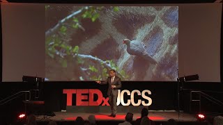 Curious Cooperative Creative | Prasad Boradkar | TEDxUCCS