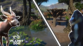 The Bongo \u0026 Mandrill arrive at New Harbour | Planet Zoo Sandbox Mode | Ep 13.