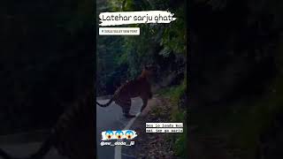 latehar Sarju Ghati Valley