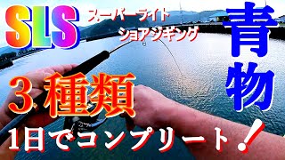 【スーパーライトショアジギング】青物いっぱい釣れる時試した方がいいこと！