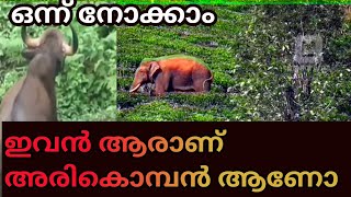 കാടിന്റെ നടുവിൽ കാട്ടാനയെ തേടി | പുലിയെ കണ്ടാൽ പുലിവാല് | കാട്ടിയേ കണ്ടാൽ എന്തു ചെയ്യും | Gaviforest