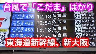 2024.8.16台風の影響で「こだま」ばかりの、東海道新幹線・新大阪駅