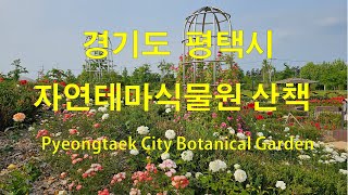 경기도 평택시 자연테마 식물원 산책 (4K)