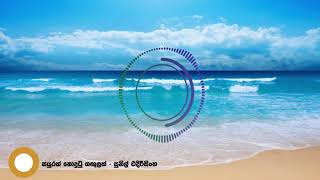 සයුරක් නොදුටු ගඟුලක් I Saurak Nodutu by Sunil Edirisingha I සුනිල් එදිරිසිංහ