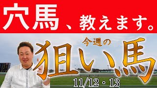 #エリザベス女王杯 #武蔵野S #デイリー杯2歳S 含む56頭の狙い馬、穴馬を紹介！11/12(土・#京都ジャンプS )13 (日・#福島記念 )～激走レンジ！今週の注目馬 The Pickup！～