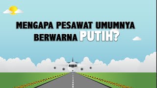 Mengapa Badan Pesawat Berwarna Putih? Ini Alasannya