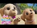 Cute Puppy Eyes | Barbie & Her Sisters in a Puppy Chase | @Barbie