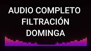 Audio filtrado COMPLETO  de cancillería chilena (Minera Dominga)