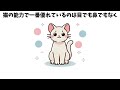 必見！【かわいい猫の雑学25選】猫好きさんも唸る猫の気持ちと驚きの習性！ 雑学 豆知識 トリビア