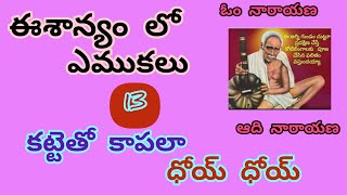 సర్వ సమర్ధ లీలలు - 13 || Omnarayana Aadinarayana || అవధూత భగవాన్ శ్రీ వెంకయ్య స్వామి వారి లీలలు