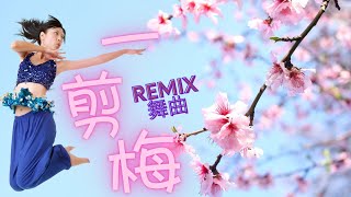 【METRO MUZIK 可可托海的牧羊人合辑】小曼 Xiao Man《一剪梅》Yi Jian Mei DJ REMIX 舞曲版【卡拉OK拼音字幕版】 (Official Video)