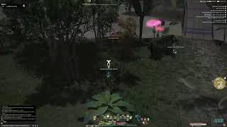 Ffxiv: ಇದರಲ್ಲಿ ಸ್ವಲ್ಪ