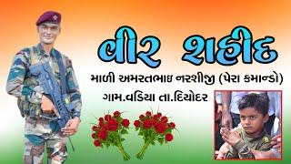 વીર શહીદ : માળી અમરતભાઇ નરશીજી (પેરા કમાન્ડો) ગામ.વડીયા તા.દિયોદર