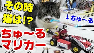 ちゅ～るマリカー爆誕！塩対応はこれで改善？リキちゃんの反応やいかに☆猫とマリオカートライブホームサーキットで遊ぶ☆ラジコン【リキちゃんねる・猫動画】Cat video　きじしろねこのいる暮らし