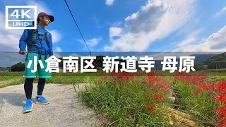 【2024年9月29日】JR石原町駅から新道寺～母原～志井公園まで歩いてみた