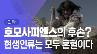 호모사피엔스의 비밀  #지식채널e