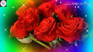 Rose day status Ishq Wala love status song #Valentine's day romantic status song 💞💞💞💞
