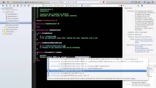 Tap Counter Xcode 5 Tutorial